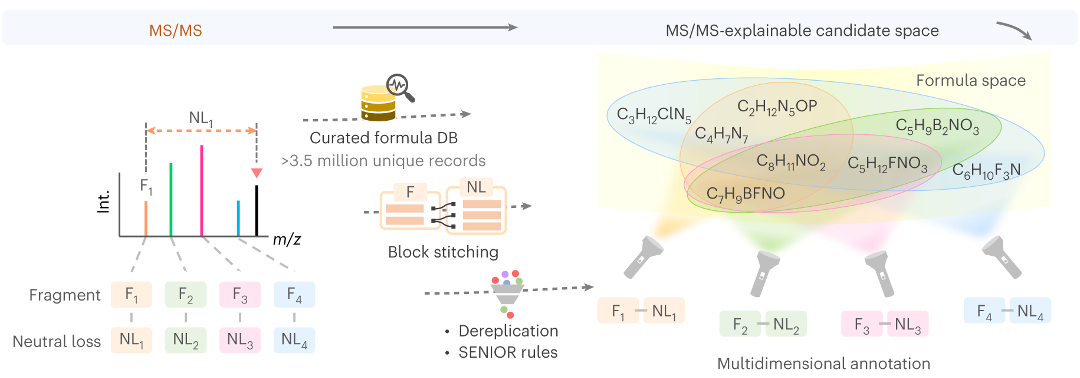 Bottom-up MS/MS interrogation