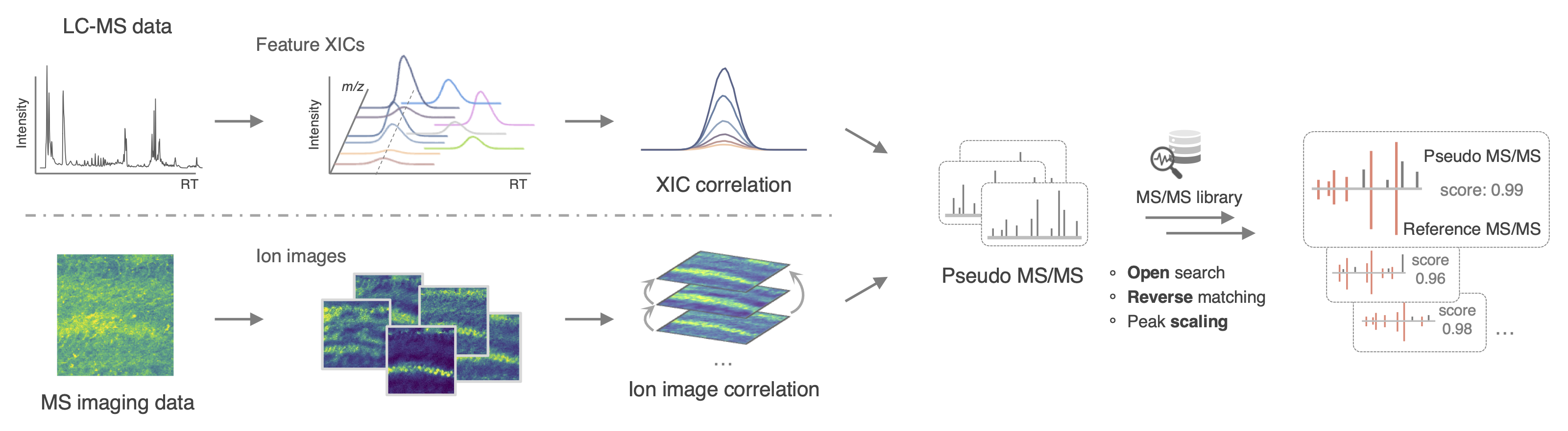 MS1 ID annotation workflow